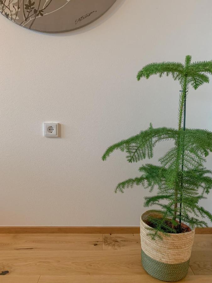 Landhaus Gappmaier 滨湖采尔 外观 照片